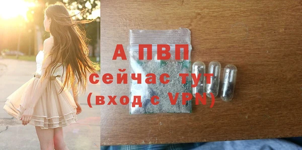 СК Богородск