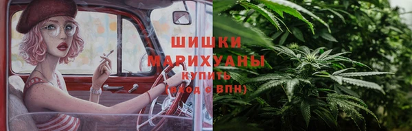 СК Богородск