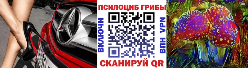 Галлюциногенные грибы Cubensis  kraken зеркало  shop клад  Норильск 